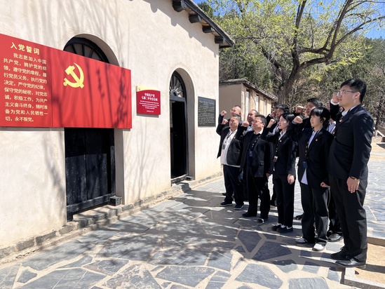 宣誓-河北保定項目 趙麗媛攝.jpg